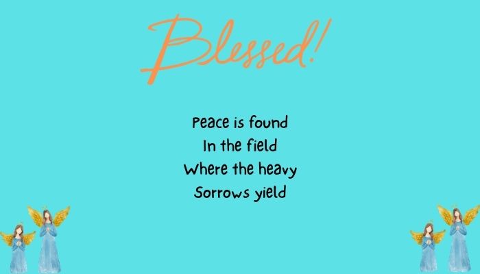 Gentle Words For Peace And Happiness